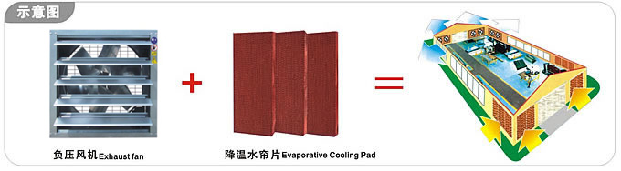 通风换气江门 水帘+风机